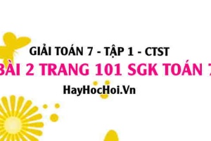 Giải bài 2 trang 101 Toán 7 Tập 1 SGK Chân trời sáng tạo